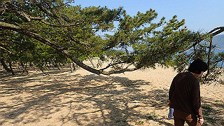 p4262537_thumb.jpg