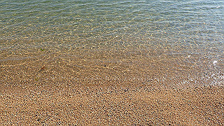 p4262541_thumb.jpg
