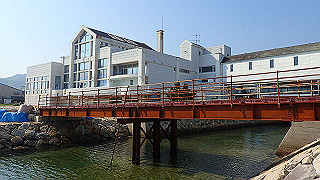 p4262542_thumb.jpg