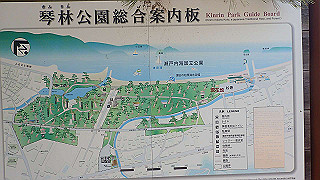 p4262545_thumb.jpg