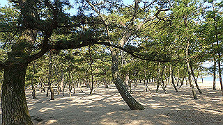 p4262546_thumb.jpg