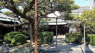 p4262552_thumb.jpg