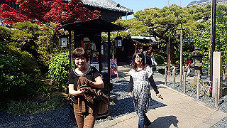 p4262555_thumb.jpg