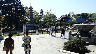 p4262574_thumb.jpg