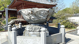 p4262575_thumb.jpg