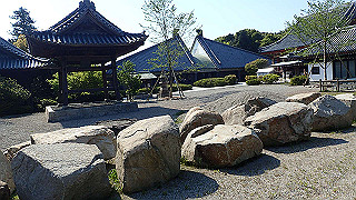 p4262577_thumb.jpg