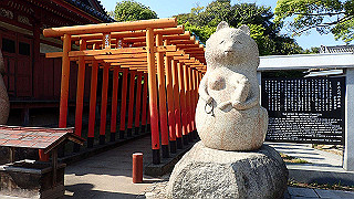 p4262579_thumb.jpg