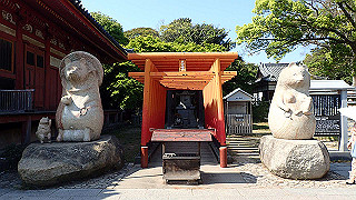 p4262580_thumb.jpg