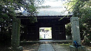 p4262581_thumb.jpg