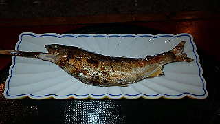 p4262591_thumb.jpg