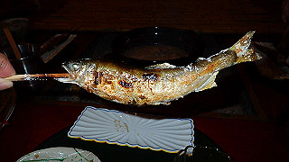 p4262593_thumb.jpg