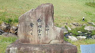 p4272608_thumb.jpg