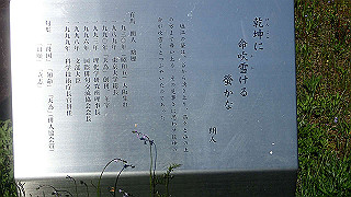 p4272609_thumb.jpg