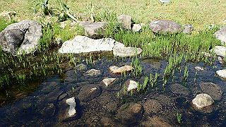p4272612_thumb.jpg
