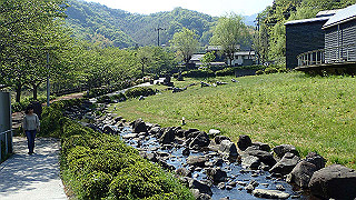p4272615_thumb.jpg