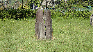 p4272617_thumb.jpg