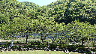 p4272625_thumb.jpg