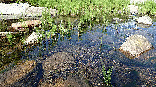 p4272629_thumb.jpg