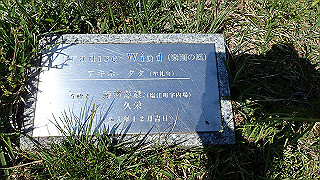 p4272630_thumb.jpg