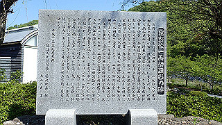 p4272632_thumb.jpg