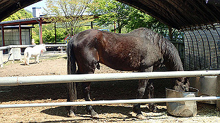 p4272649_thumb.jpg