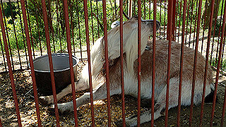 p4272652_thumb.jpg