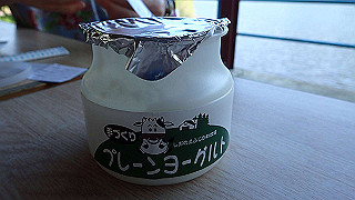 p4272659_thumb.jpg