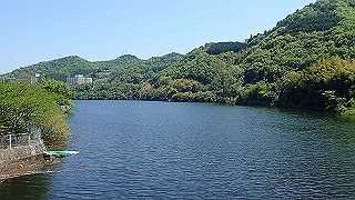 p4272664_thumb.jpg