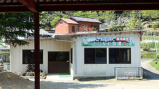 p4272665_thumb.jpg