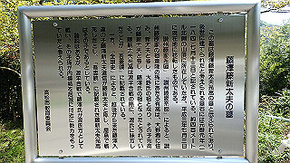 p4272666_thumb.jpg