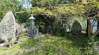 p4272667_thumb.jpg