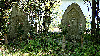 p4272669_thumb.jpg
