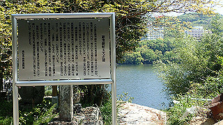 p4272671_thumb.jpg