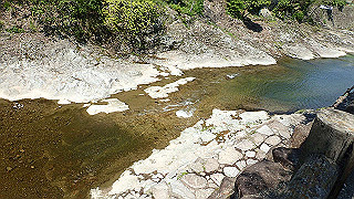 p4272673_thumb.jpg
