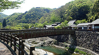 p4272677_thumb.jpg