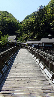 p4272682_thumb.jpg