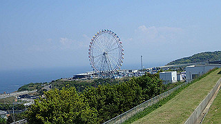 p4272686_thumb.jpg