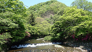 p4302688_thumb.jpg