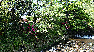 p4302689_thumb.jpg