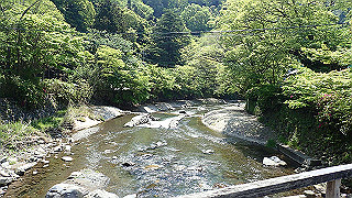 p4302690_thumb.jpg