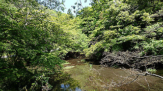 p4302692_thumb.jpg