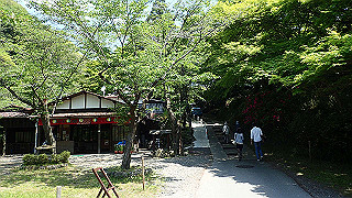 p4302693_thumb.jpg