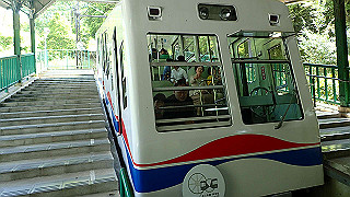 p4302695_thumb.jpg