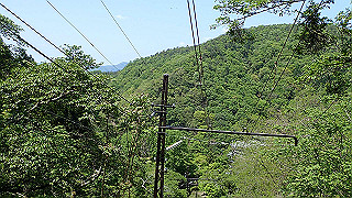 p4302699_thumb.jpg