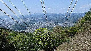 p4302706_thumb.jpg