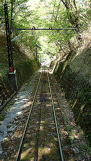 p4302708_thumb.jpg