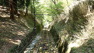 p4302709_thumb.jpg