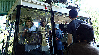 p4302713_thumb.jpg