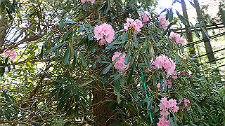 p4302723_thumb.jpg