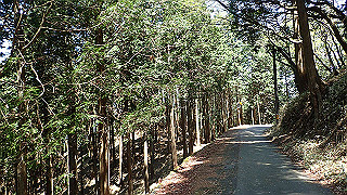 p4302735_thumb.jpg